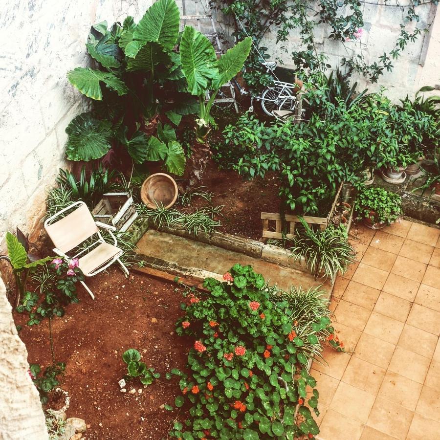 Sa Madona de sa Pleta Bed & Breakfast Muro Exterior foto